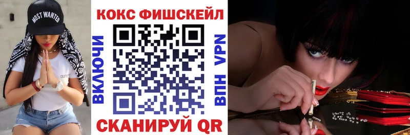 сколько стоит  Буй  Кокаин Fish Scale 