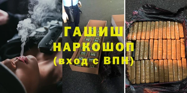 стаф Алексин