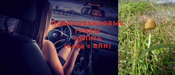 стаф Алексин