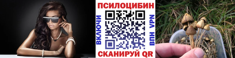 наркотики  Буй  omg онион  Псилоцибиновые грибы мухоморы 